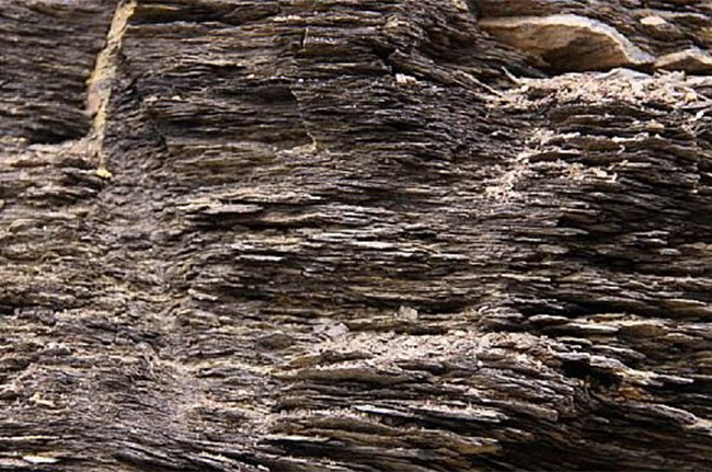 油頁(yè)巖物料 油頁(yè)巖物料